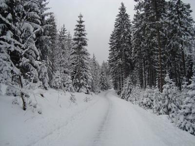 Berchtesgadener Land